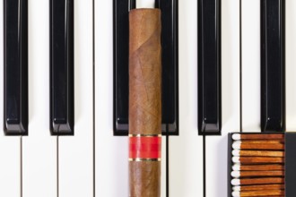 Detail of piano keyboard and luxury cigar