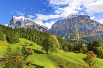 Grindelwald, Switzerland aerial village view and autumn Swiss Alps mountains panorama landscape,