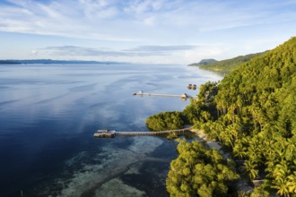Aerial view of Mansuar Island, Raja Ampat, West Papua, Indonesia, Asia
