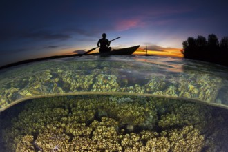 Coral reef at sunset, New Ireland, Papua New Guinea, Oceania