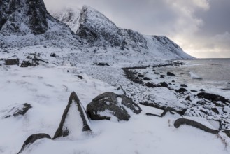 Snow-covered coast, Eggum Nature Reserve, Vetsvagoy, Lofoten, Nordland, Norway, March 2015, Europe