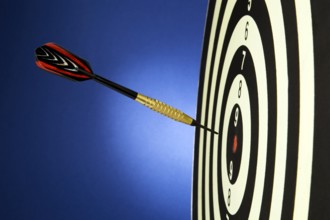A dart game with a dart that hit the bull's eye. Austria