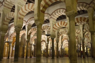 Prayer hall of the Mezquita, Cordoba, Andalusia, Spain Cordoba, Spain, Europe