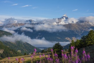3320 metre high mountain Pic de Rochebrune in the Queyras massif, seen from the mountain village of