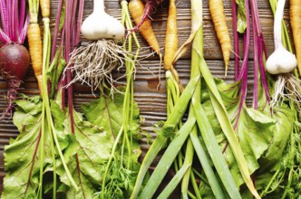 Vegetarian background of fresh organic beetroots green garlic and carrots on kitchen wooden rustic
