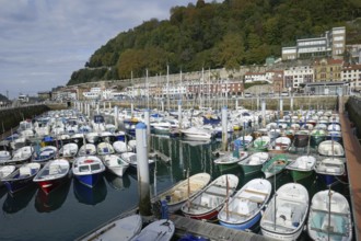 Fishing harbour of San Sebastián