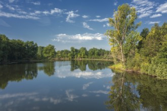 Landscape with calm summer lake in forest, sky reflection