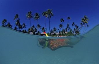 Snorkelling on the beach in front of the resort, Indonesia, Wakatobi Dive Resort, Sulawesi, Indian
