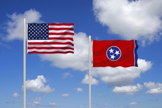 The flag of the USA and Tennessee, Studio
