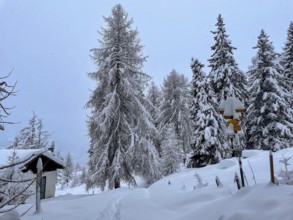Chalets in the Motta Naluns ski area, Scuol, Graubünden, Switzerland, Europe