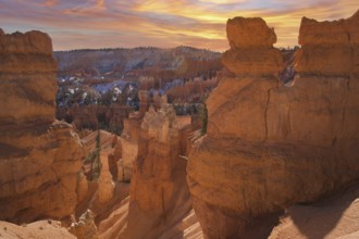 Bryce canyon national park in Utah during sunset. Travel and tourism