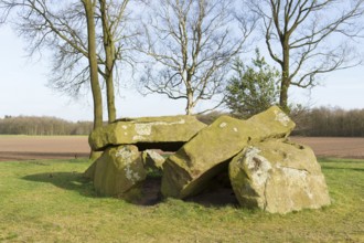 Typical old Dutch grave a hunebed