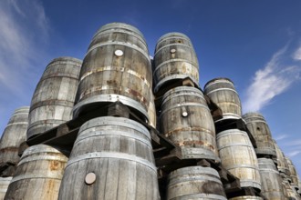 Old wine barrels