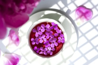 Creative layout with pink peonies flowers and cup of tea on bright table. Trendy shadows Spring