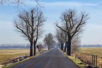 Avenue