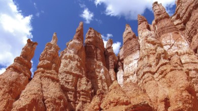 Hoodos des Bryce Canyon, Utah, USA, North America