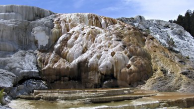 Cleopatra Terrace, Mammoth Hot Springs area, Yellowstone National Park, Wyoming, USA USA