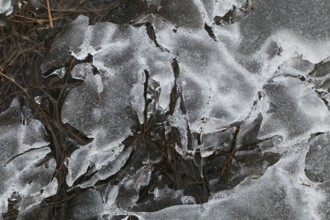 Nature, melting ice pattern, Province of Quebec, Canada, North America