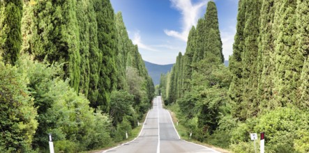 Tuscany, Italy. Asphalt line in nature, panoramic road to travel destination Bolgheri