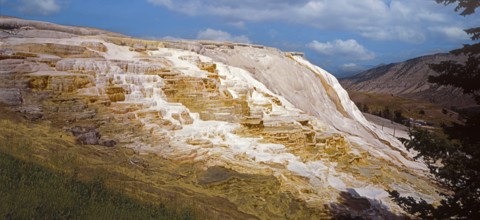 Limestone terraces of Mammoth Hot Springs, Yellowstone National Park, Wyoming, USA, North America