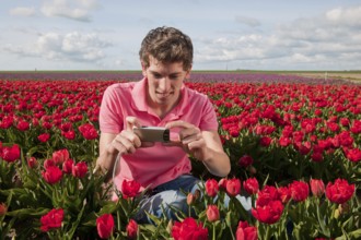 Portrait of an young man taking pictures in tulips field with photo camera