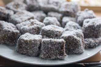 Close up of chocolate cakes with coconut flour on the ceramic plate