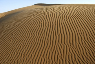 Sand dunes, Khuhri, Jaisalmer, Rajasthan, India, Asia