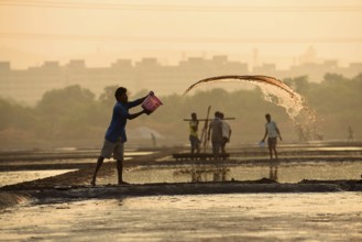 Men working in salt pans, Wadala, Mumbai, Maharashtra, India, Asia