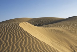 Sand dunes, Khuri, Jaisalmer, Rajasthan, India, Asia