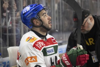 LanxessArena, North Rhine-Westphalia, Nick Baptiste (Augsburger Panther, #73), PENNY DEL, Kölner