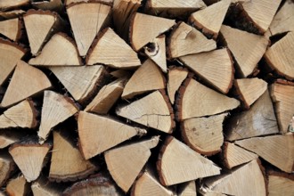 Firewood