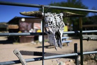 Hackberry General Store, Route 66 Museum, Arizona, USA, North America