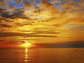 Bright sunset at the sea