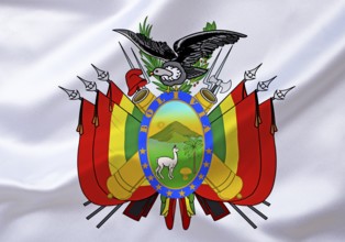 The coat of arms of Bolivia, country in South America, Studio