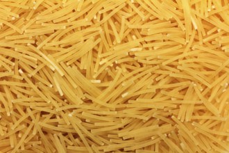 Background of small vermicelli macro