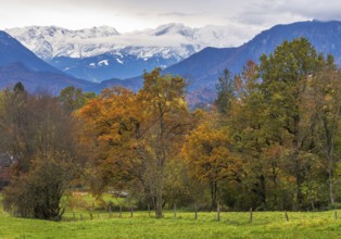 Autumn scenic with the view from the town Murnau to the alps