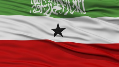 Closeup Somaliland Flag, Waving in the Wind, High Resolution