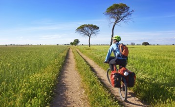 Biker by Camino de Santiago in bicycle at Saint James Way of Levante of Spain