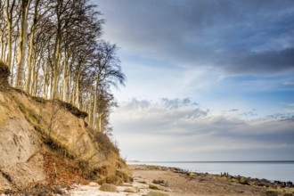 Baltic Sea