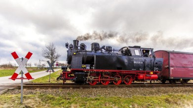 Molli train