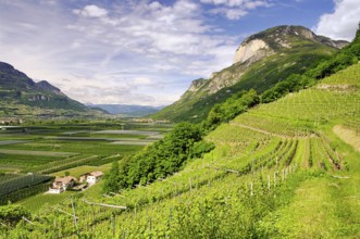 Trentino 01