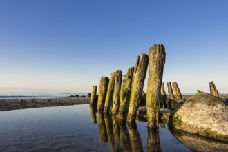 Groynes on the coast of the Baltic Sea