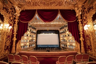 Interior view, theatre, Teatro La Fenice, Venice, Veneto, Italy, Europe