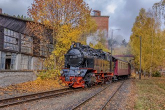 Railway Romanticism in the Selketal Harz Selketal Railway