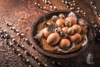 Eggs with pussy willow branches on rustic background. Easter table decoration