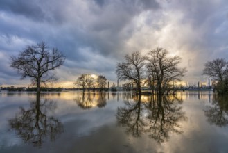 Flood on the Rhine, Germany. Chempark Dormagen in the background