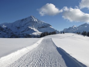Ski slope on the Wispile, Spitzhorn