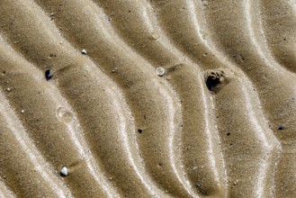 Sand texture on the beach close to the Adriatic sea in Italy