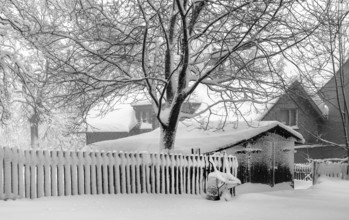 Winter in the Vogtland, The wheelbarrow on the fence