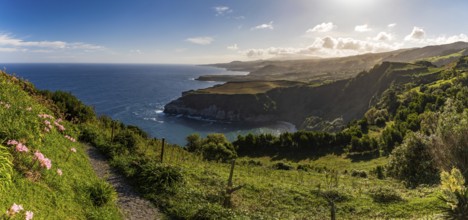 A picture of the São Miguel landscape as seen from the Santa Iria viewpoint